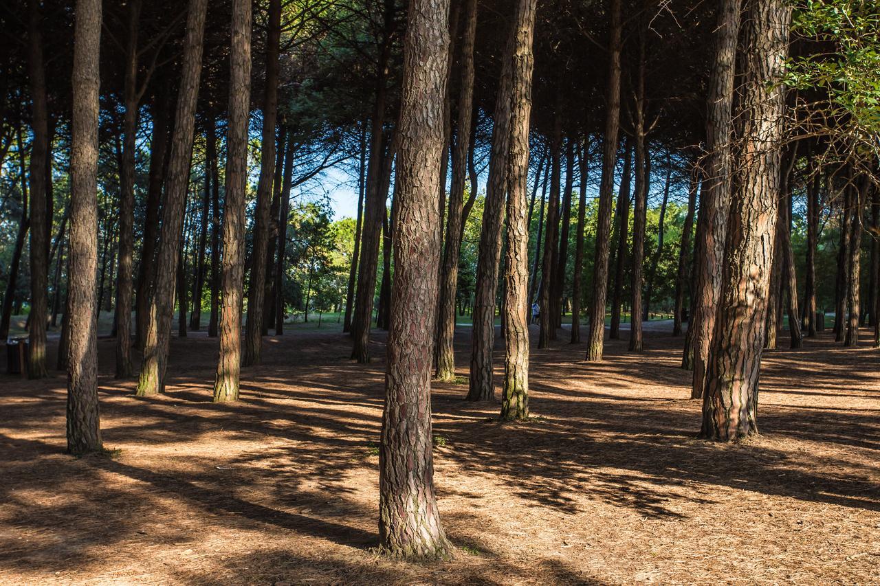 Hotel Garden Milano Marittima Buitenkant foto