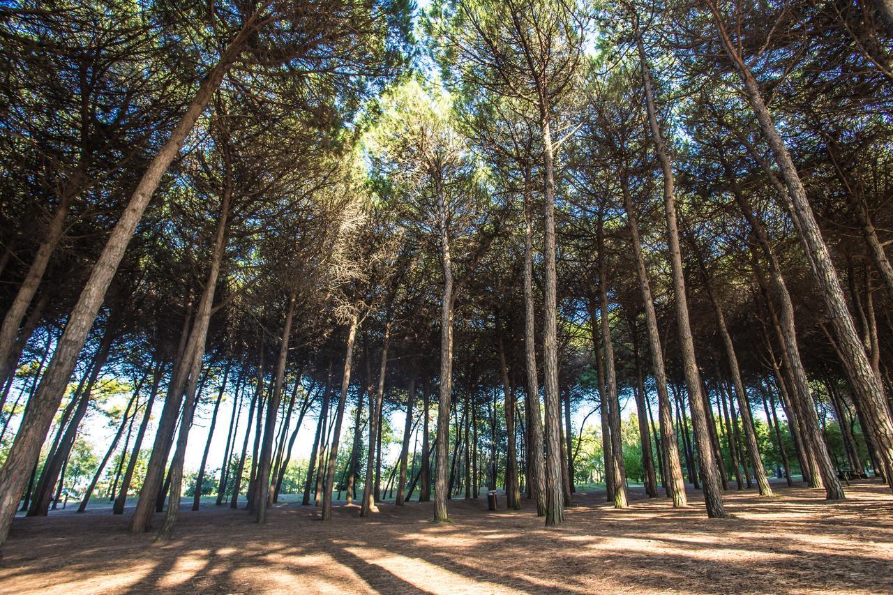 Hotel Garden Milano Marittima Buitenkant foto